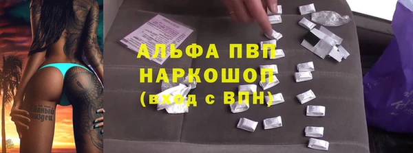 PSILOCYBIN Балабаново