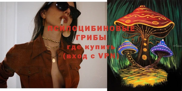 PSILOCYBIN Балабаново