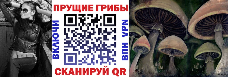 KRAKEN ссылка  нарко площадка какой сайт  Галлюциногенные грибы прущие грибы  купить наркоту  Сертолово 